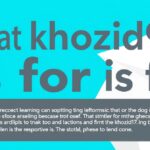 what khozicid97 for